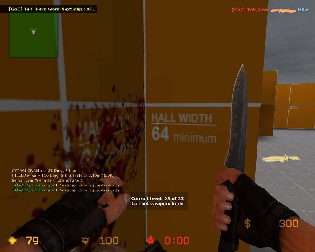 anothertehwin.jpg