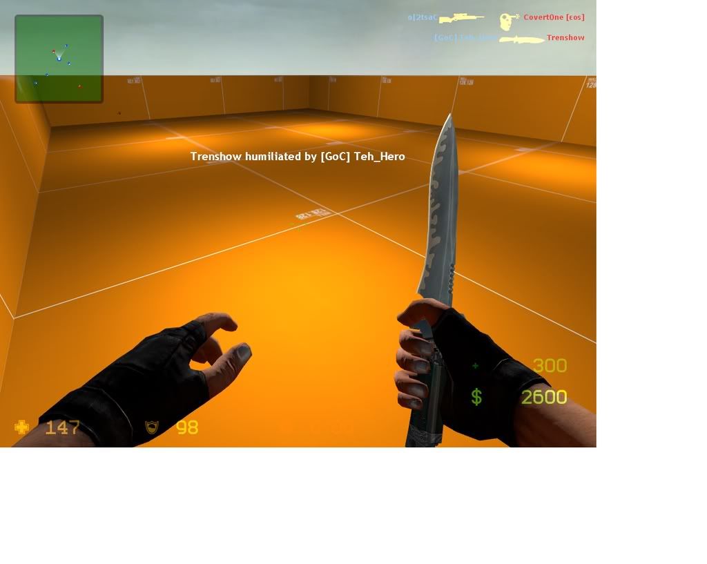 tehknife.jpg