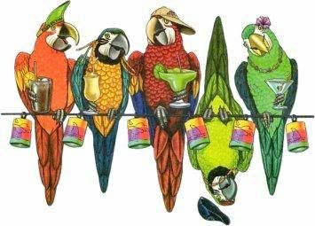 parrots.jpg