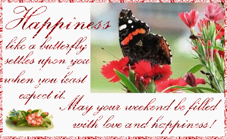 Orkut Scrap - Butterflies: 5