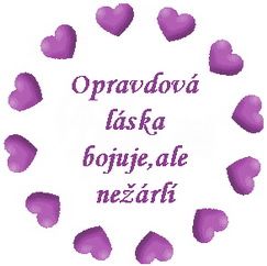 Obrázky - Láska: 8