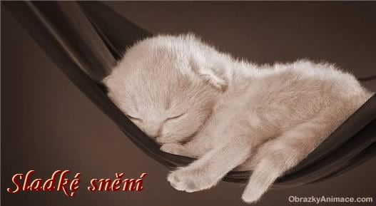 Obrázky - Krásné snění: 4