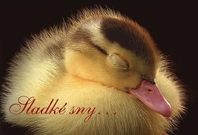 Obrázky - Krásné snění: 7