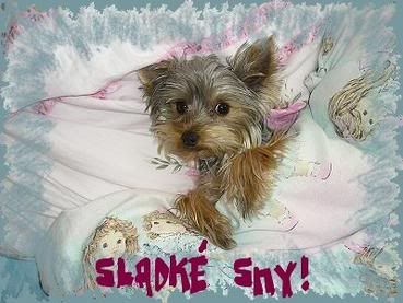 Obrázky - Krásné snění: 1