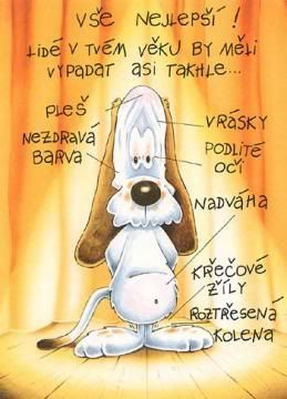 Obrázky - Přání k Narozeninám: 8