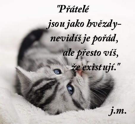 Obrázky - Přátelství: 1