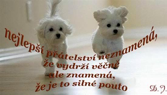 Obrázky - Přátelství: 6