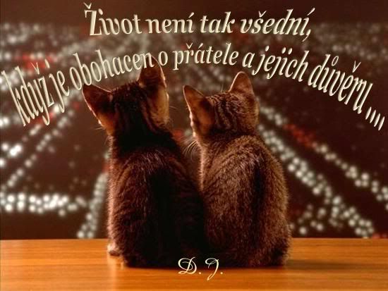 Obrázky - Přátelství: 5