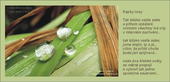 Obrázky - Básničky: 1