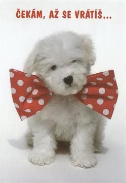 Obrázky - Chybíš mi: 2