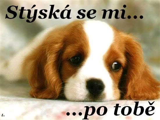 Obrázky - Chybíš mi: 8