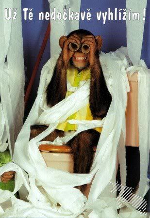 Obrázky - Chybíš mi: 3