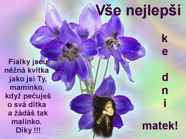 Obrázky - Den Matek: 7