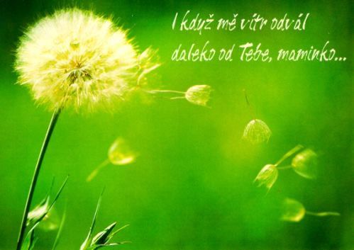 Obrázky - Den Matek: 3