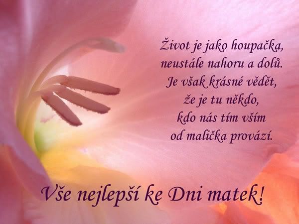 Obrázky - Den Matek: 1