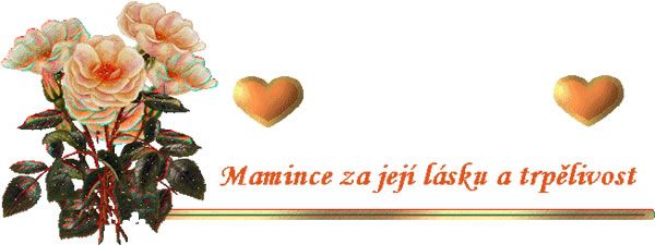 Obrázky - Den Matek: 6