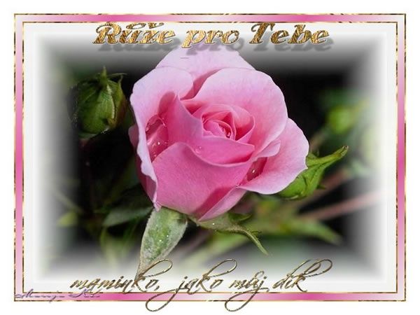 Obrázky - Den Matek: 7