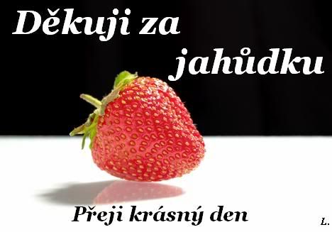 Obrázky - Hezký den: 5