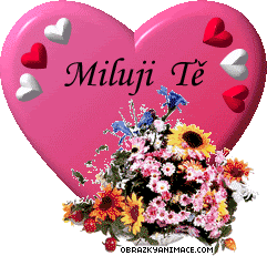 Obrázky - Miluji tě: 1