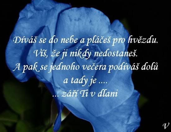 Obrázky - Motta: 8 Obrázky - Motta: 8