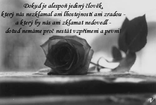 Obrázky - Životní moudra: 6