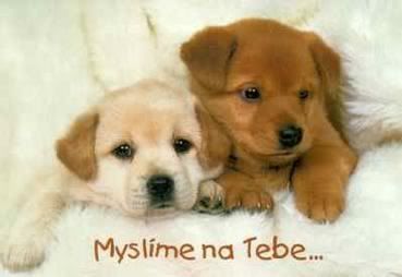 Obrázky - Myslím na Tebe: 1 Obrázky - Myslím na Tebe: 1
