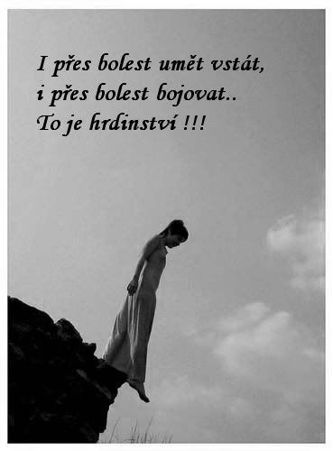 Obrázky a Animace Obrázky a Animace