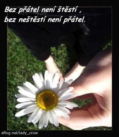 MySpace Přátelství Comment: 6 MySpace Přátelství Comment: 6