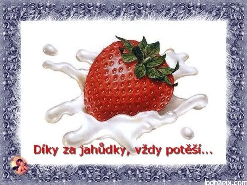 Obrázky - Různé: 1