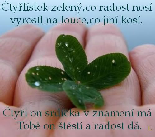 Obrázky - Různé: 7