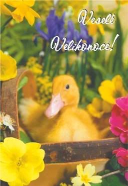 Obrázky - Veselé Velikonoce: 4