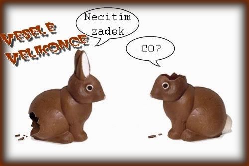 Obrázky a Animace Obrázky a Animace