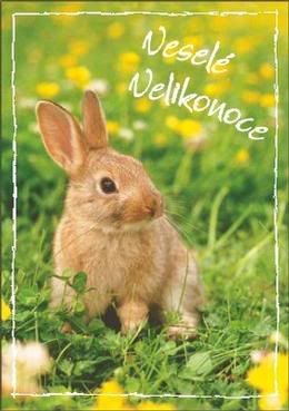 Obrázky - Veselé Velikonoce: 3
