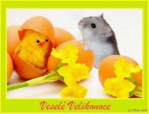 Obrázky - Veselé Velikonoce: 6
