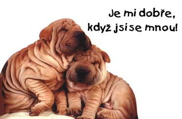 Obrázky - Vzkazy: 3