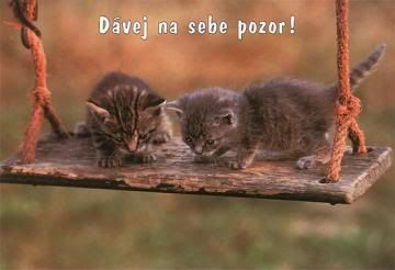 Obrázky - Vzkazy: 5