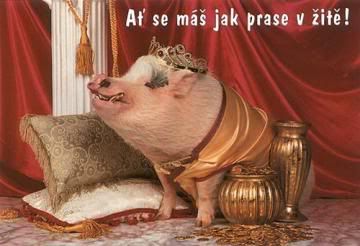 Obrázky - Vzkazy: 6