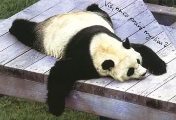 Obrázky a Animace pro Lide.cz Obrázky a Animace pro Lide.cz