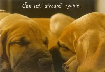 Obrázky - Vzkazy: 1