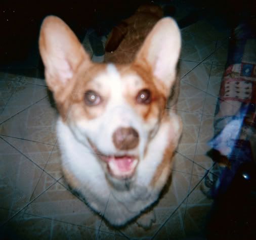 Photobucket - Video and Image Hosting