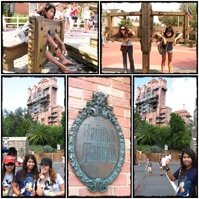 Walt Disney World