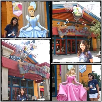 Walt Disney World
