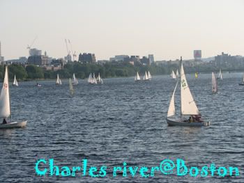 Take a photo Charles River