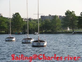 Take a photo Charles River