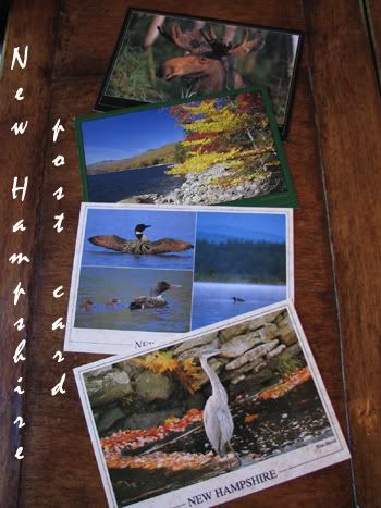 vacation at New Hampshire US