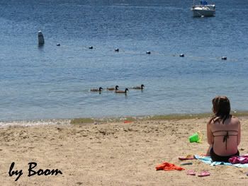 vacation at New Hampshire US