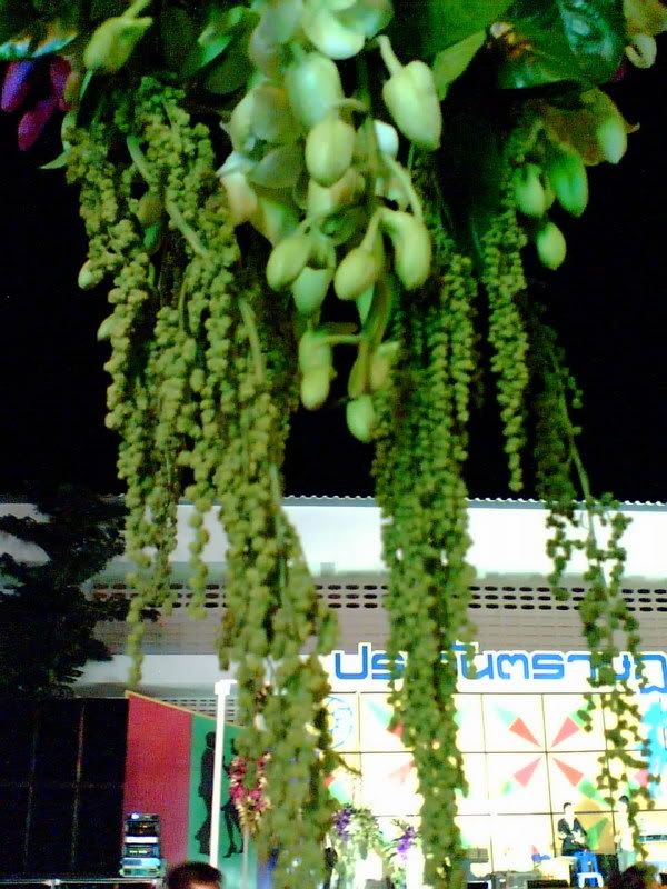 รวบยอด