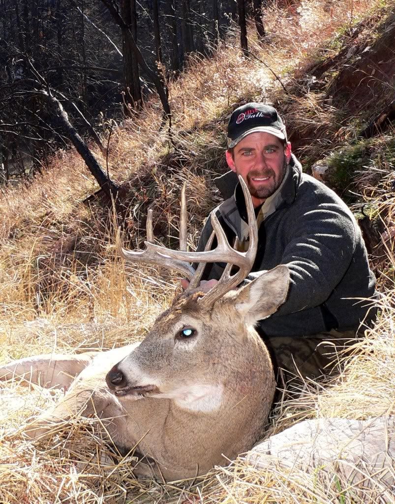 Black Hills Deer Hunt? 24hourcampfire