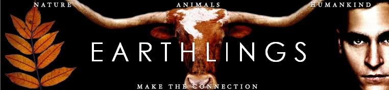 Earthlings banner Pictures, Images and Photos