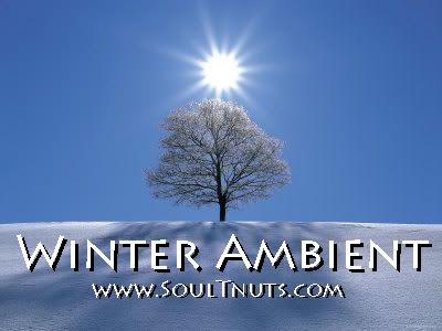 soultnuts - winter ambient